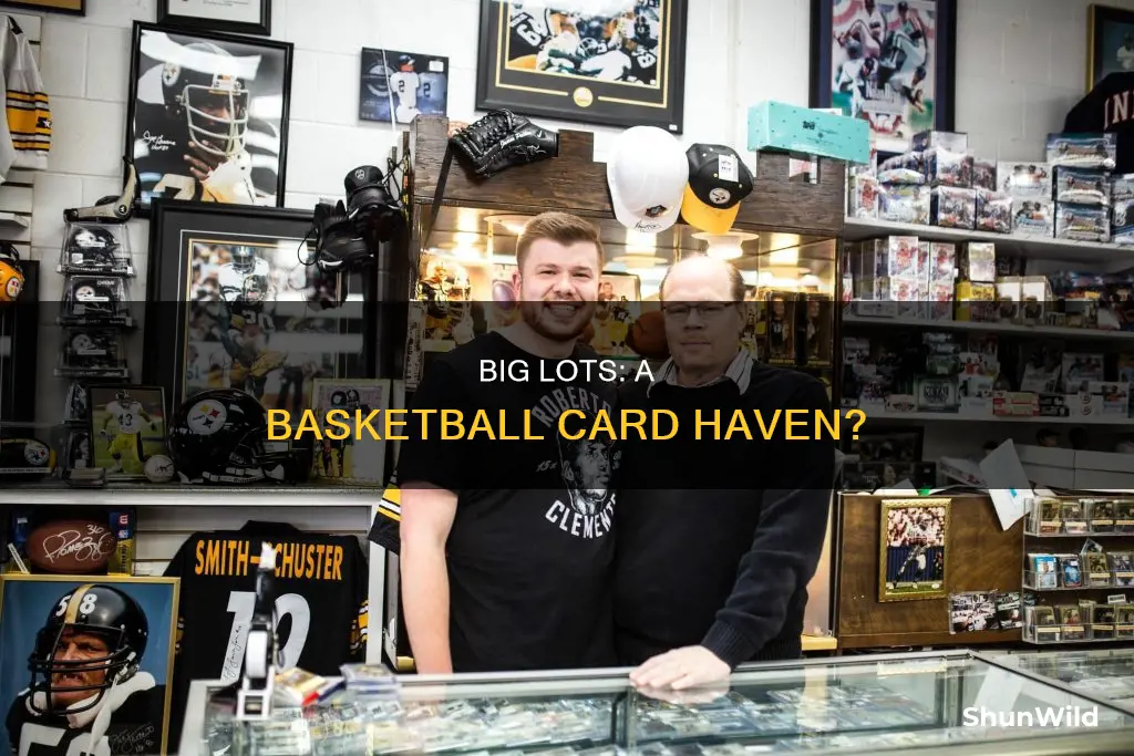 does big lots sell basketball cards