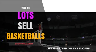 Big Lots: Basketballs and Other Sports Equipment Available?