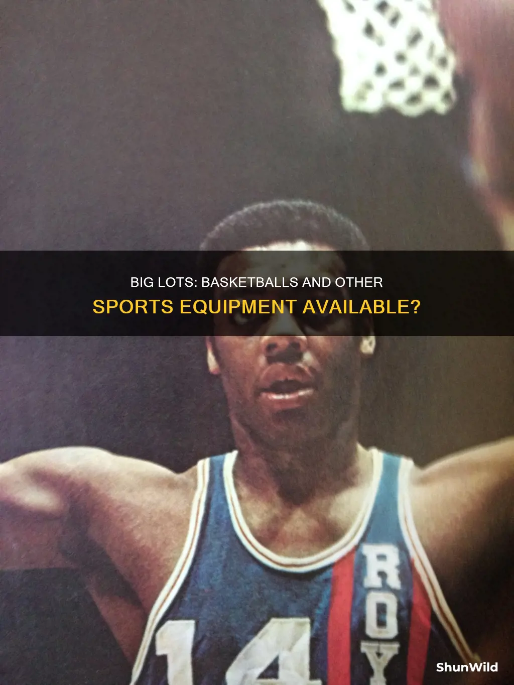 does big lots sell basketballs