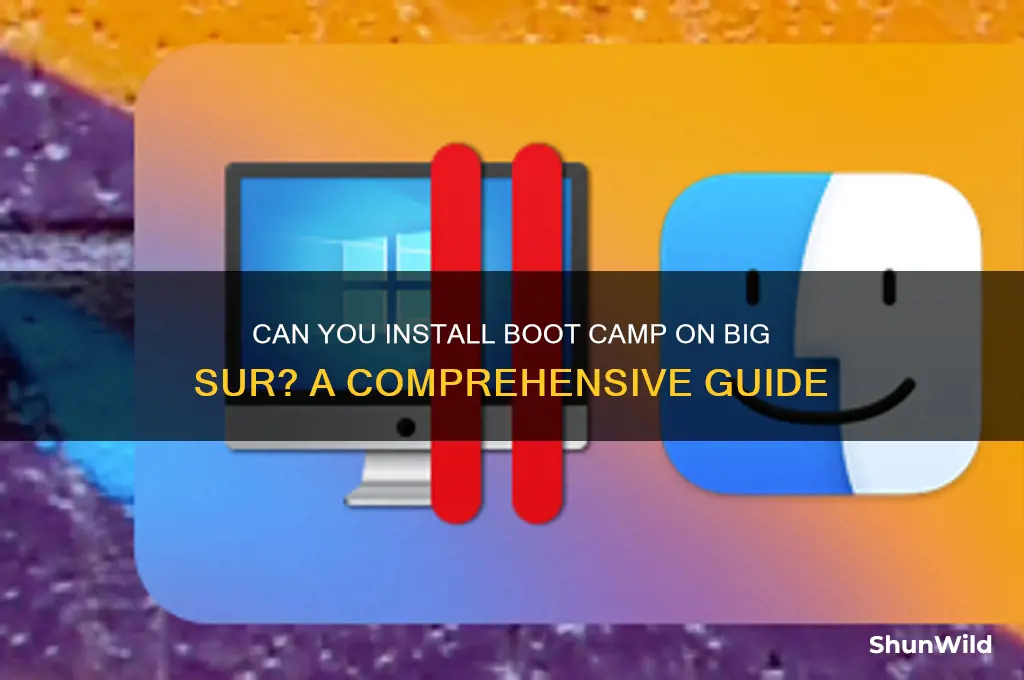 does big sur have boot camp
