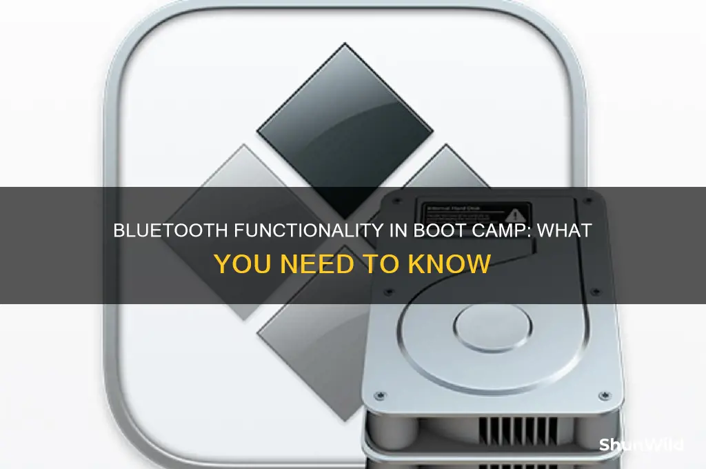 does bluetooth work in boot camp