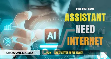 Does Boot Camp Assistant Require Internet Access for Windows Installation?
