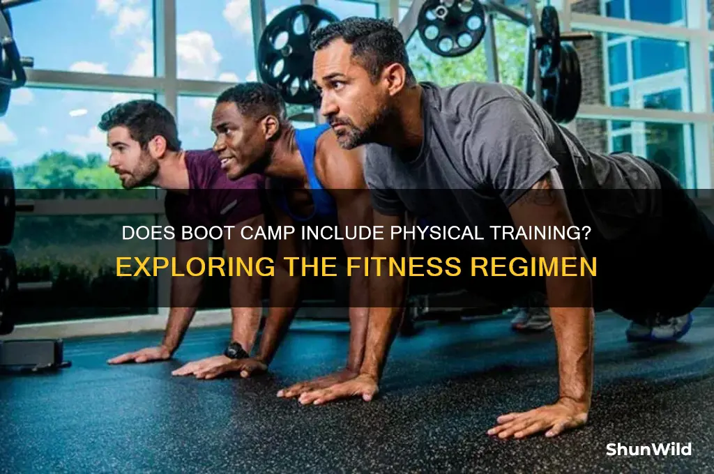 does boot camp do physical training