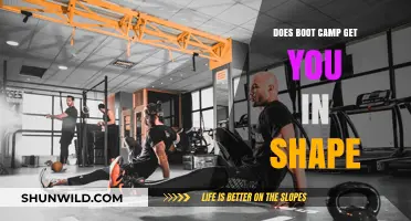 Can Boot Camp Transform Your Fitness Level Effectively and Quickly?