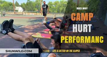 Does Boot Camp Compromise Performance? Exploring the Impact on Efficiency