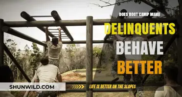 Boot Camp Impact: Can Tough Programs Reform Delinquent Behavior?