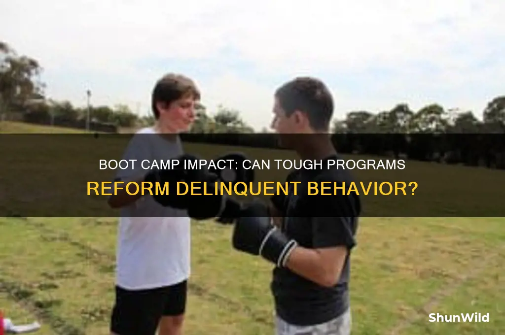 does boot camp make delinquents behave better