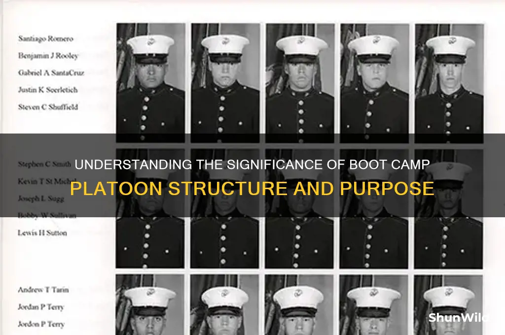 does boot camp platoon mean anything