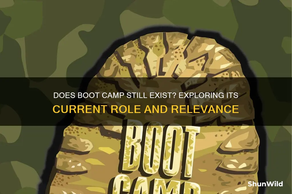 does boot camp still exist