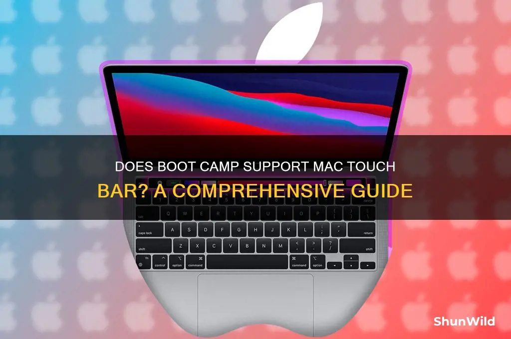 does boot camp support mac touchbar