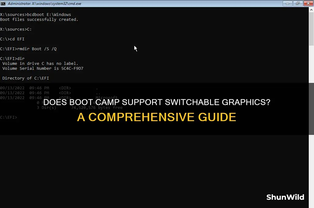 does boot camp support switchable graphic