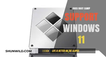 Does Boot Camp Support Windows 11? Compatibility and Installation Guide