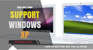 Does Boot Camp Support Windows XP? Compatibility and Alternatives Explained