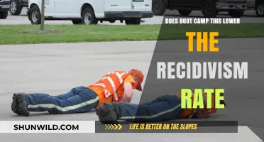 Can Boot Camp Programs Effectively Reduce Recidivism Rates?