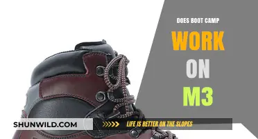 Does Boot Camp Work on M3? Compatibility and Performance Insights