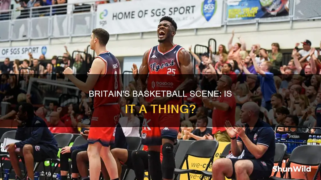does britain have basketball