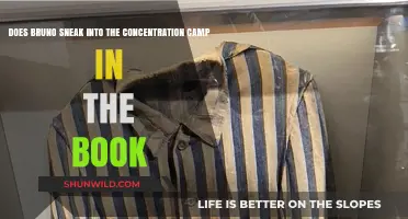 Bruno's Forbidden Intrusion: Sneaking into the Concentration Camp in the Book