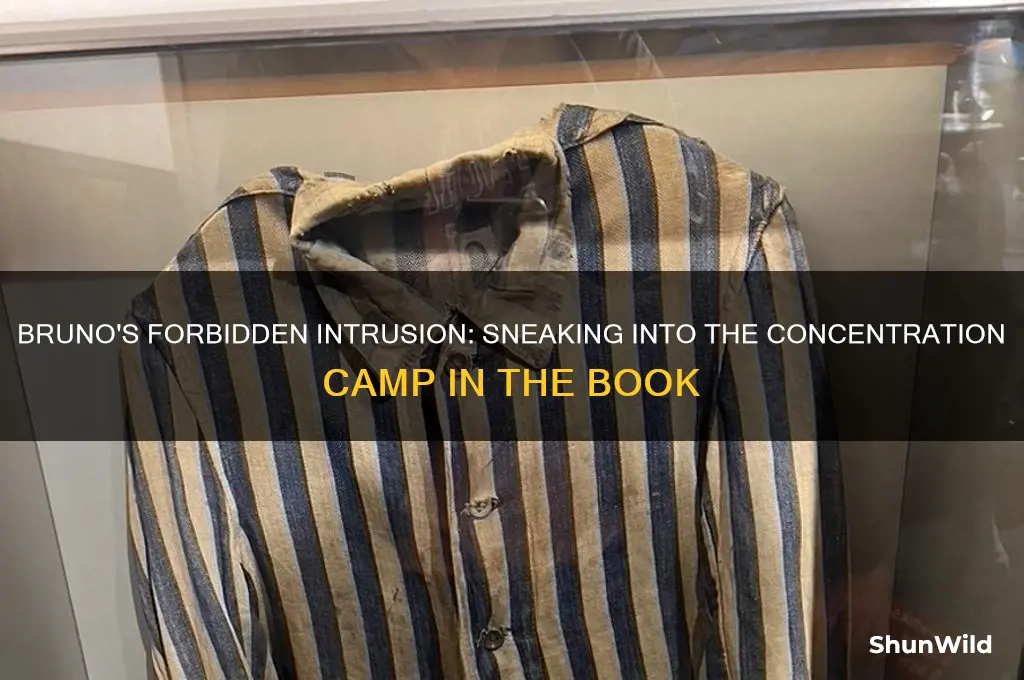 does bruno sneak into the concentration camp in the book