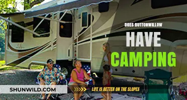 Exploring Buttonwillow: Camping Options and Outdoor Adventures Revealed