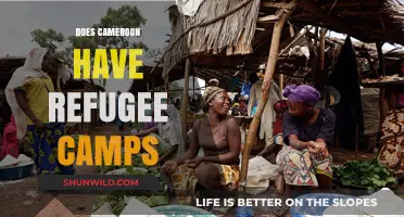 Cameroon's Refugee Crisis: Exploring the Presence of Camps and Aid Efforts