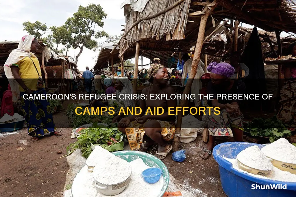 does cameroon have refugee camps