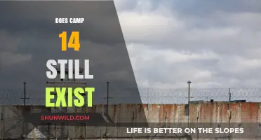Does Camp 14 Still Exist? Unveiling North Korea's Notorious Prison Camp