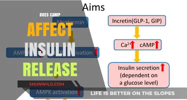 Camp's Impact on Insulin Release: Exploring the Connection and Effects