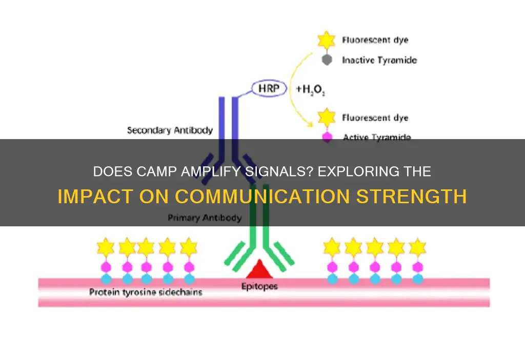 does camp amplify signals