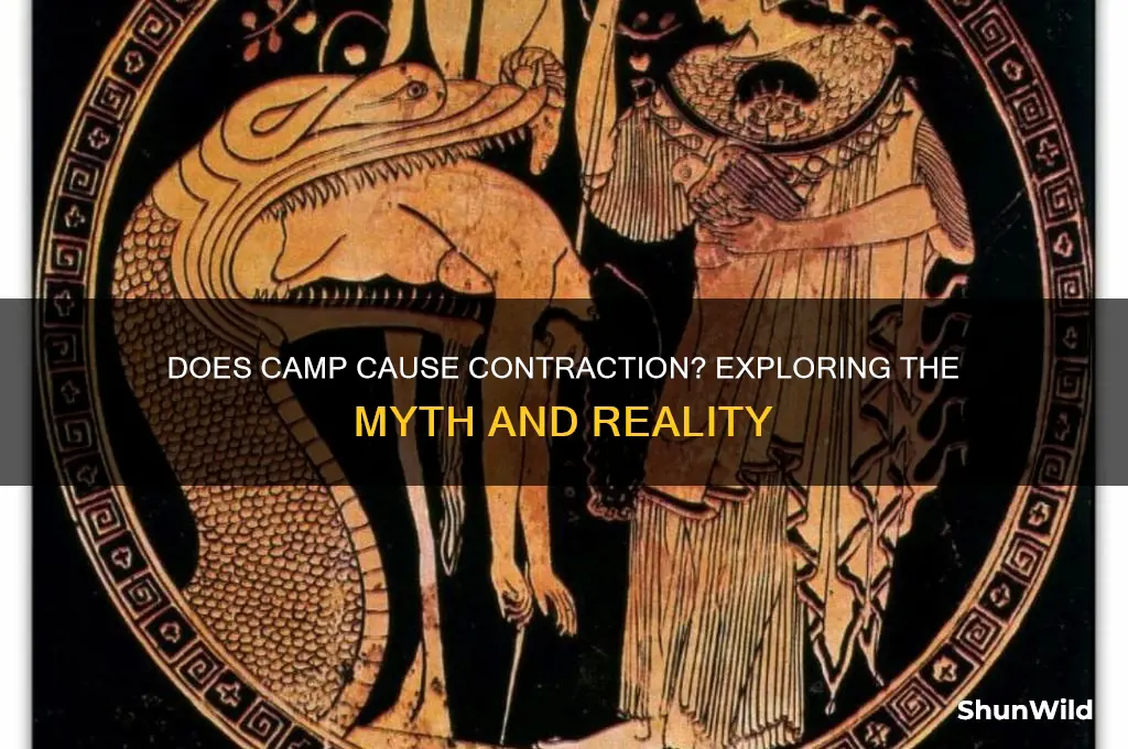 does camp cause contraction