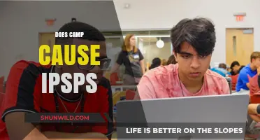 Does Camp Trigger IPSPs? Exploring the Science Behind the Phenomenon