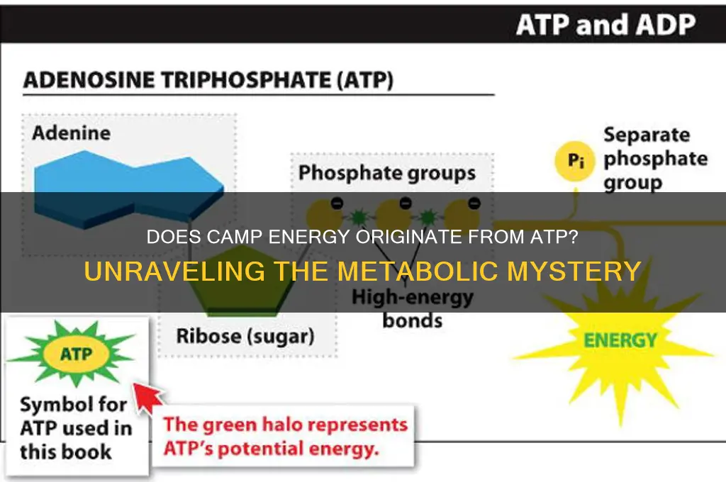 does camp come from atp