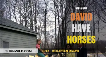 Exploring Camp David: Horseback Riding and Equestrian Facilities Revealed