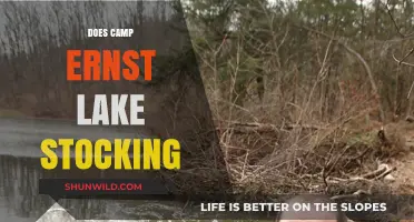 Camp Ernst Lake Stocking: What You Need to Know