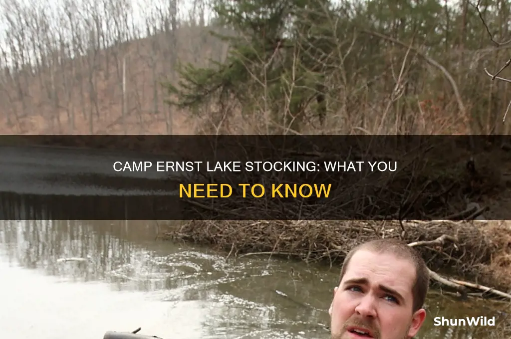 does camp ernst lake stocking