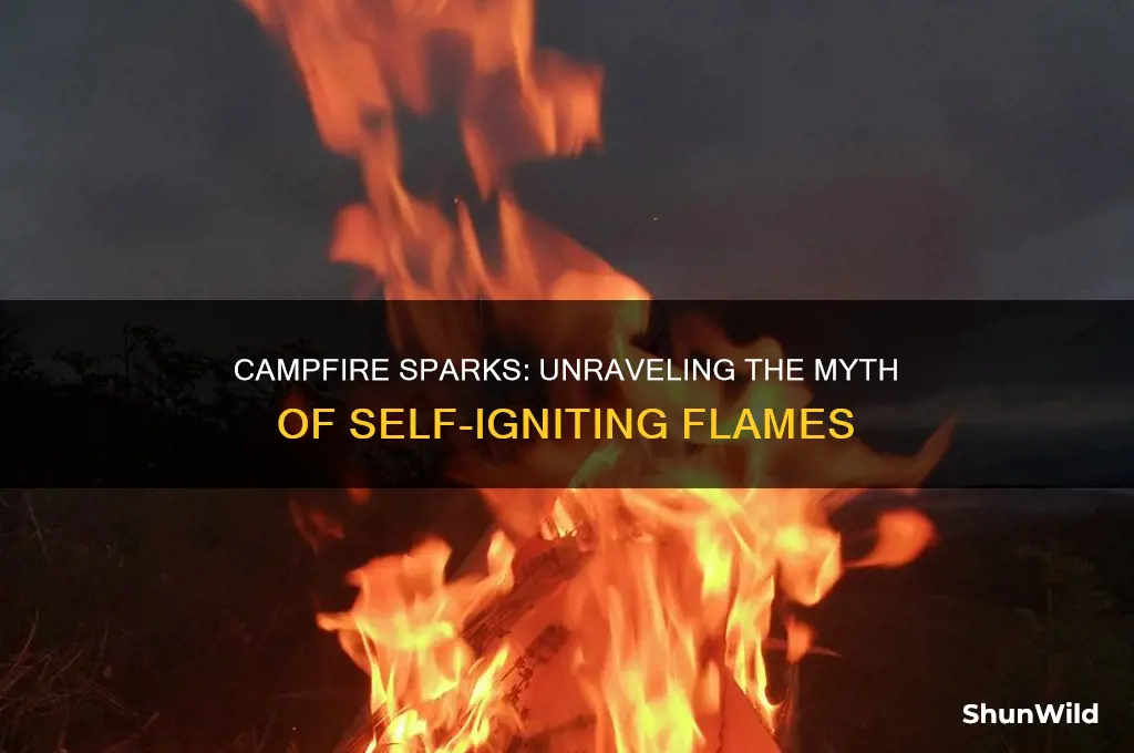 does camp fire ignites fire