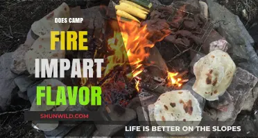 Campfire Cooking: Does Open Flame Enhance Food Flavor?