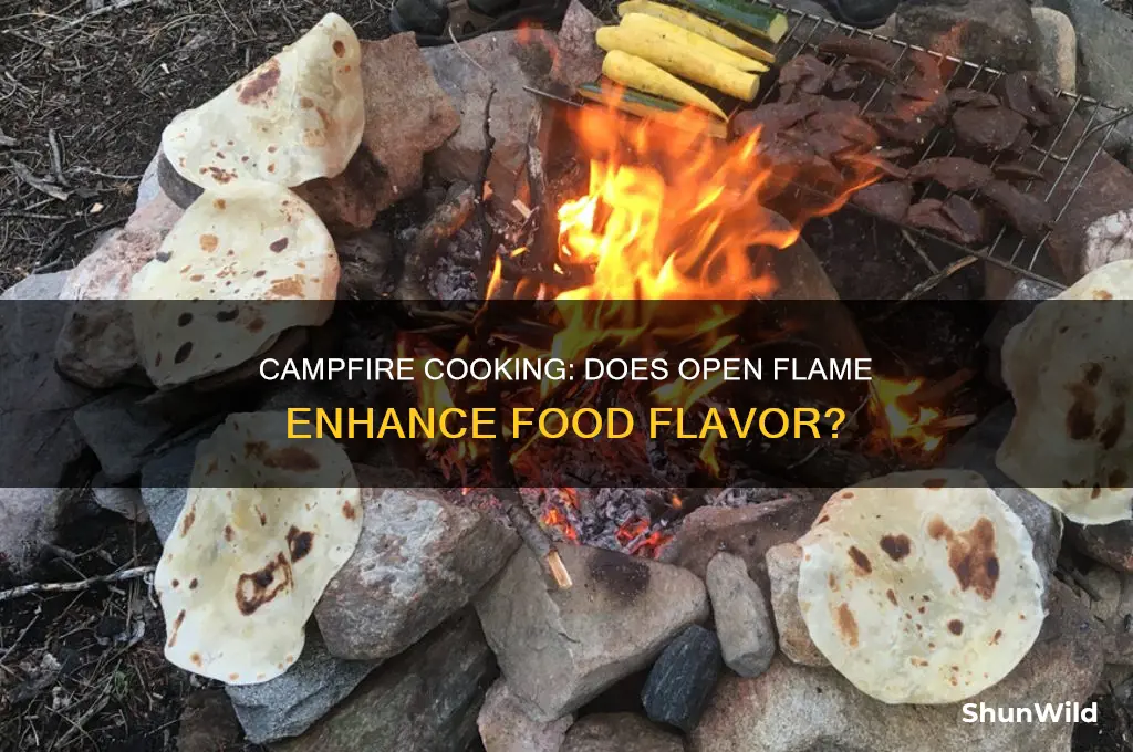 does camp fire impart flavor