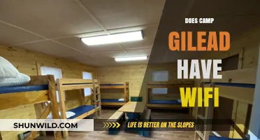 Does Camp Gilead Offer WiFi? Connectivity Insights for Campers