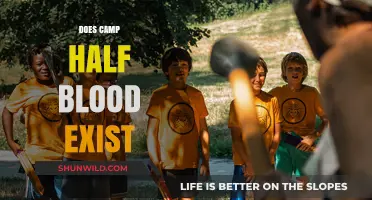Does Camp Half-Blood Exist? Unveiling the Myth Behind Percy Jackson's World