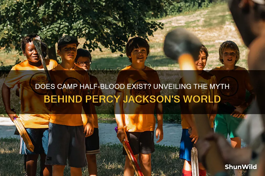does camp half blood exist