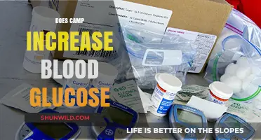 Camping and Blood Sugar: Does Outdoor Adventure Impact Glucose Levels?