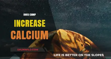 Can Camping Boost Calcium Levels? Exploring the Surprising Connection