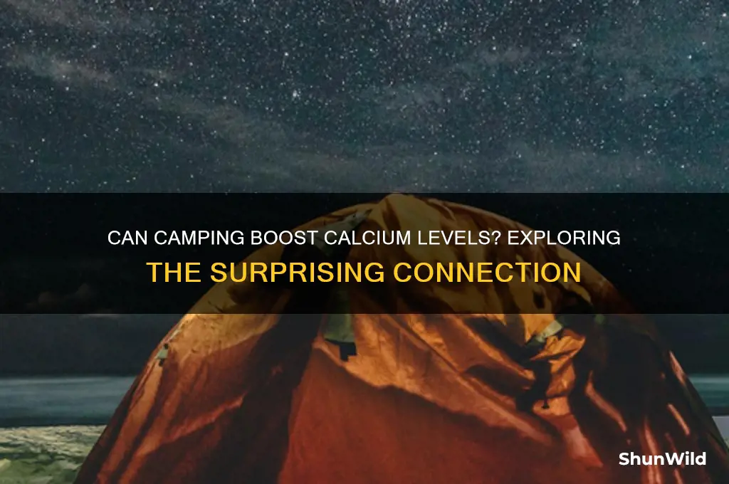 does camp increase calcium