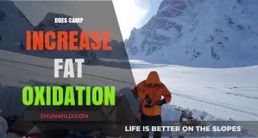 Does Camping Boost Fat Oxidation? Exploring the Science Behind It