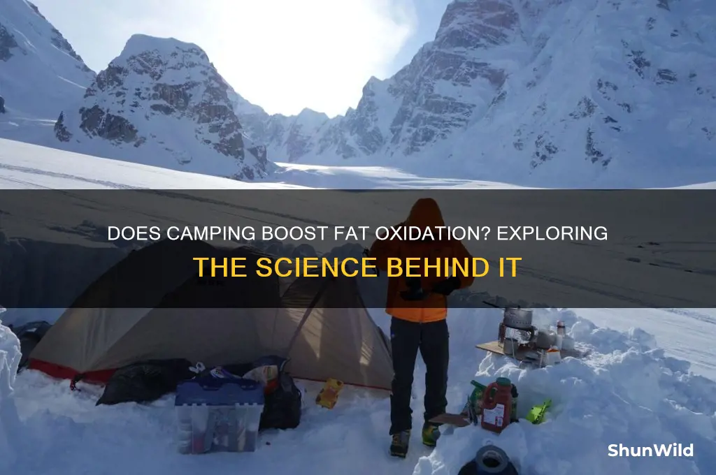 does camp increase fat oxidation