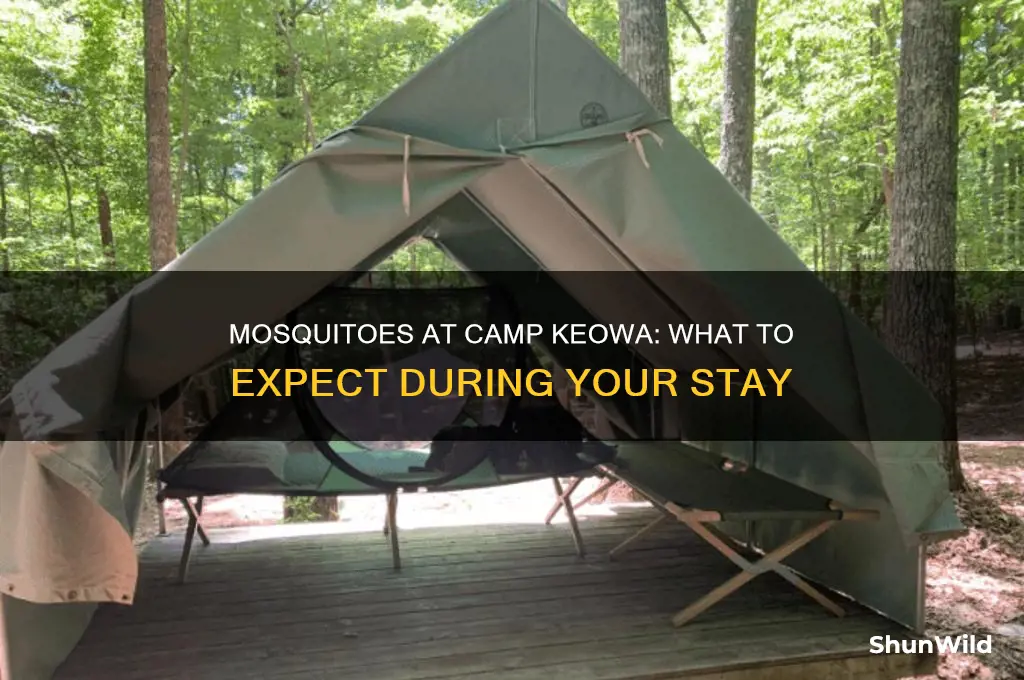 does camp keowa have mosquitoes