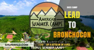 Can Summer Camp Activities Trigger Bronchoconstriction? Exploring the Risks