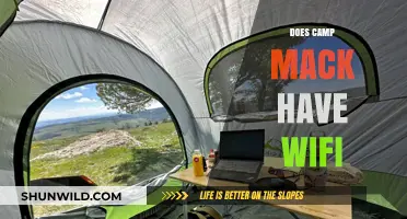 Does Camp Mack Offer WiFi? Connectivity Details for Your Stay