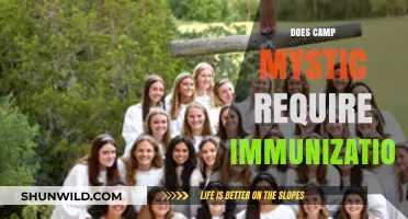 Camp Mystic Immunization Requirements: What You Need to Know