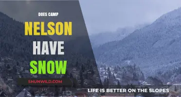Does Camp Nelson Experience Snow? Exploring Winter Conditions in the Area